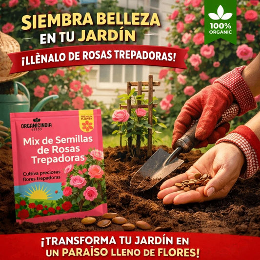 Semillas Mixtas de Rosas Trepadoras 🌹 TRANSFORMA TUS ESPACIOS EN UN PARAISO FLORAL 😱50% DE DESCUENTO😱